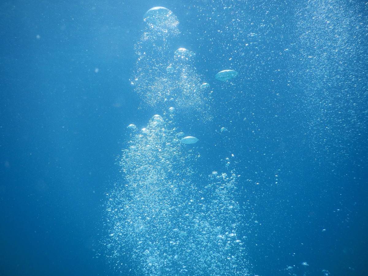 Dive instructor with underwater camera