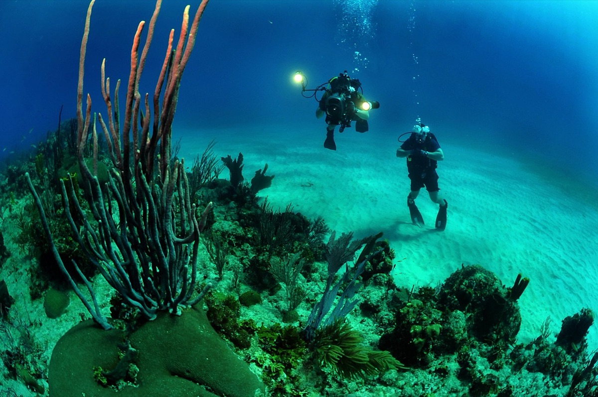diver with underwater camera