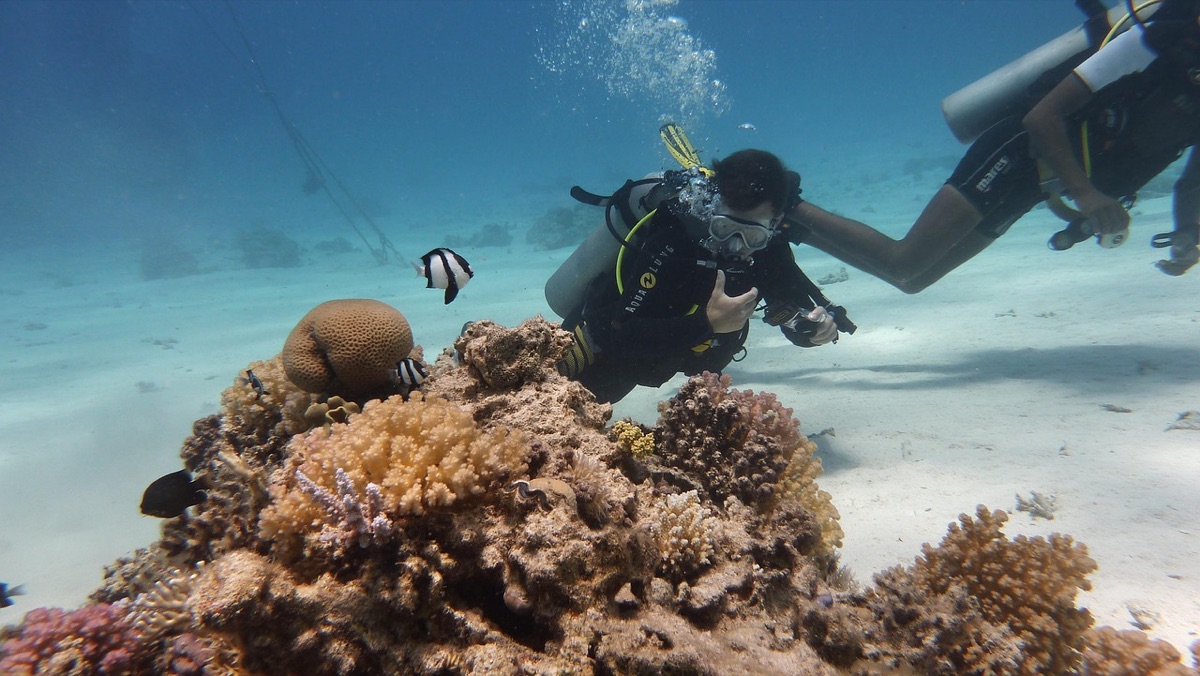dive instructor with underwater camera