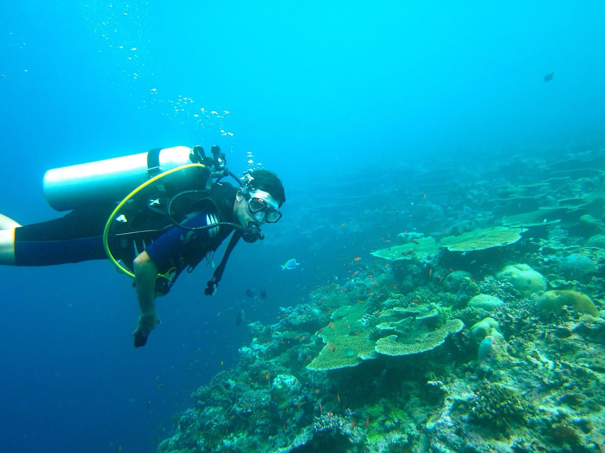 diver in blue water with coral