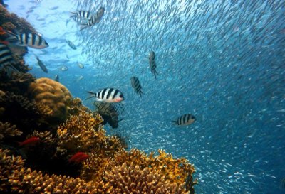 Palau Lodging: 28 Factors for the Ultimate Journey