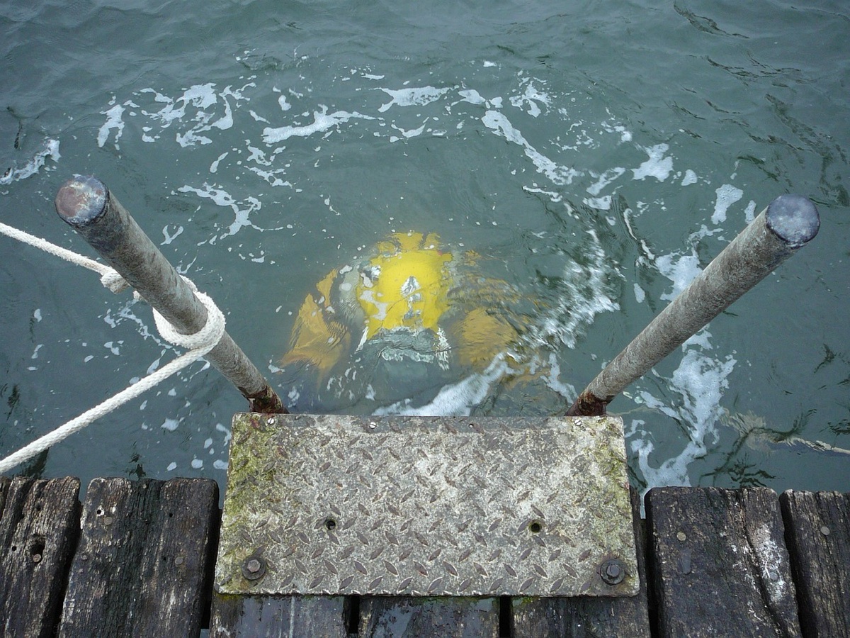 Diver underwater in Palau
