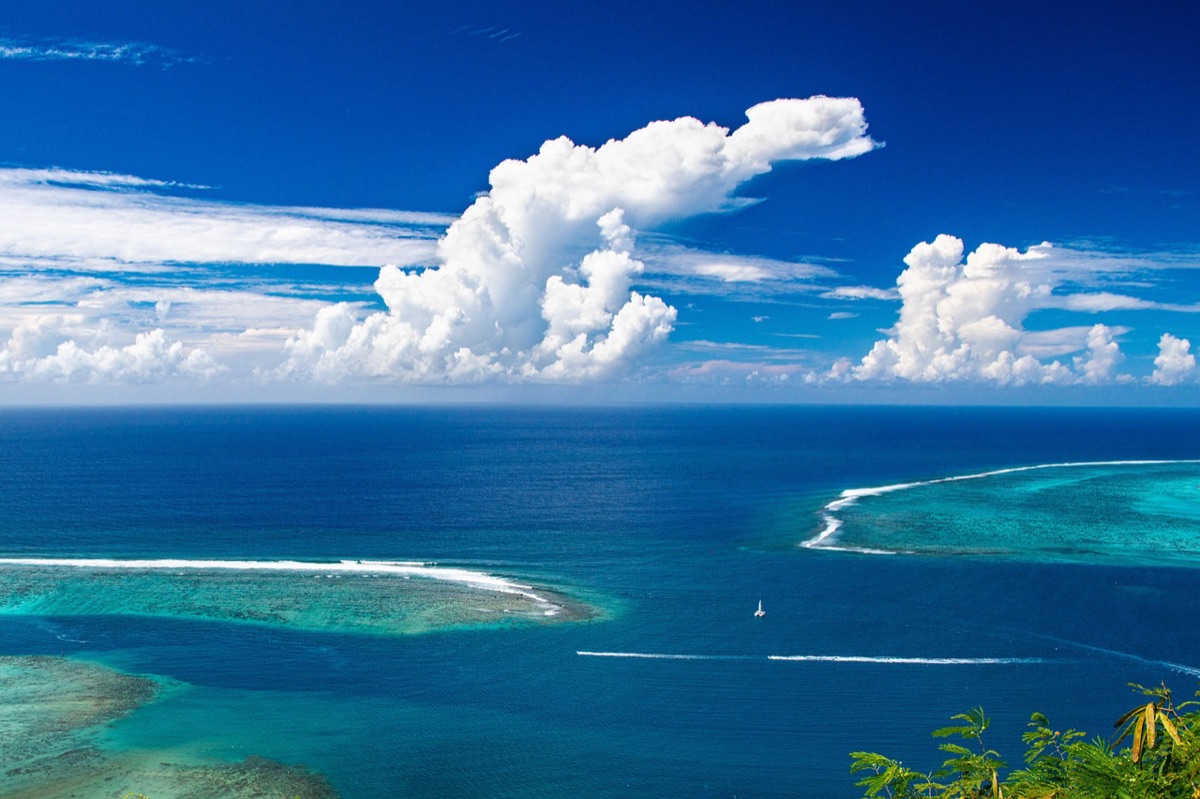 Coraalreef in Palau