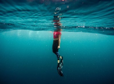 Palau : Guide essentiel pour explorer les îles karstiques uniques