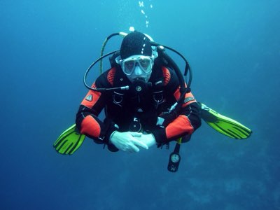 Jellyfish Lake & Blue Corner: Palau's Onderwaterwonderen