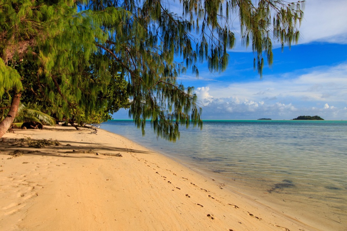 Palau's lagoon highlights the natural beauty and ecological significance of its protected marine areas