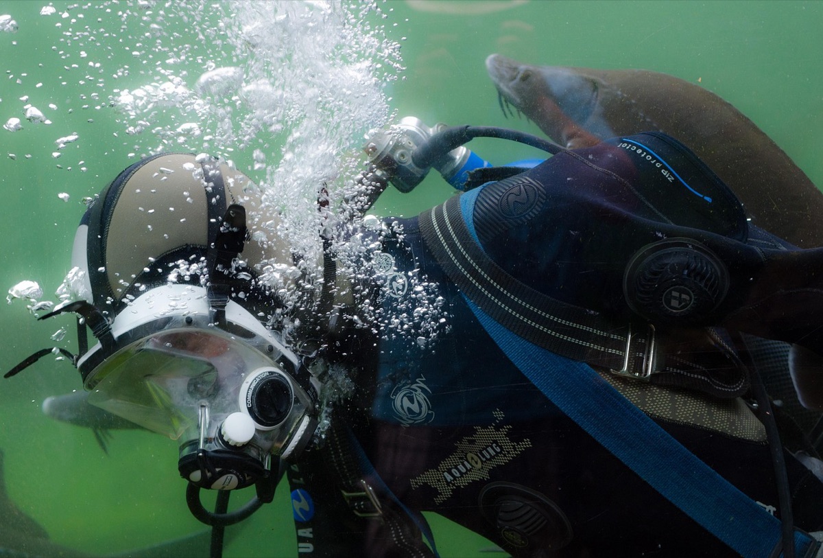 un nuotatore con regolatore e maschera in Palau