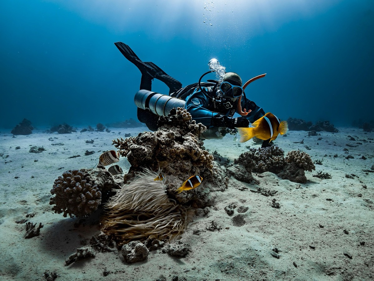 Underwater diver in clear water near Palau