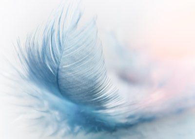 浮潛安全須知：如何尊重海洋並享受這片藍色寶藏完整指南