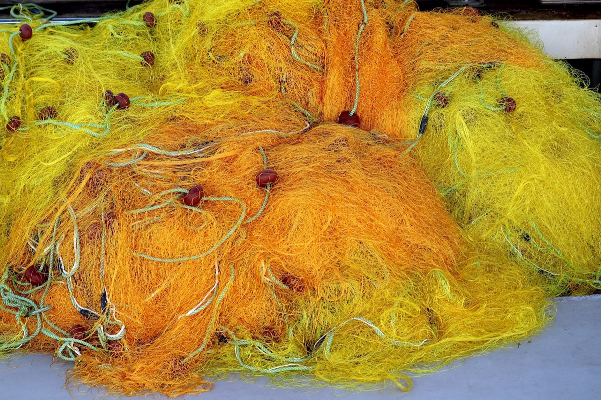 Visser in Palau met een net