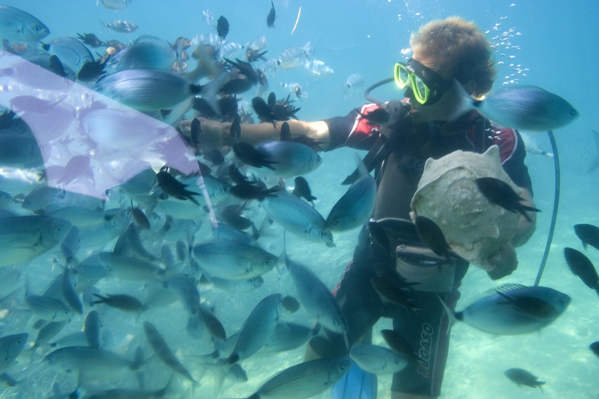 snorkel gear underwater