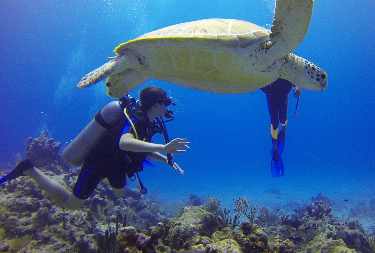 dooptekst: Scuba diver in palau