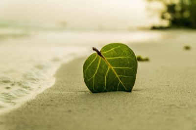 Bescherming van de oceaan: Palau's rol sinds de jaren '00
